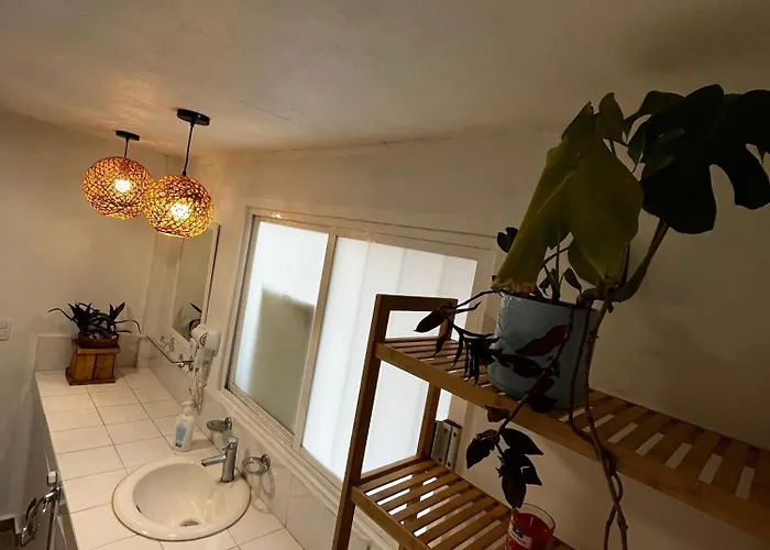 Apartamento Rompecabezas De Lujo En Coyoacan México DF