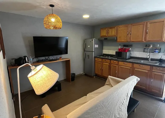 Rompecabezas De Lujo En Coyoacan Apartamento