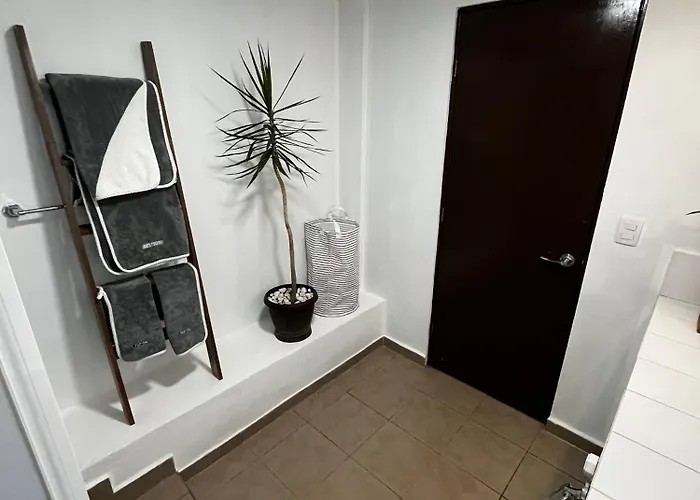 Apartamento Rompecabezas De Lujo En Coyoacan *